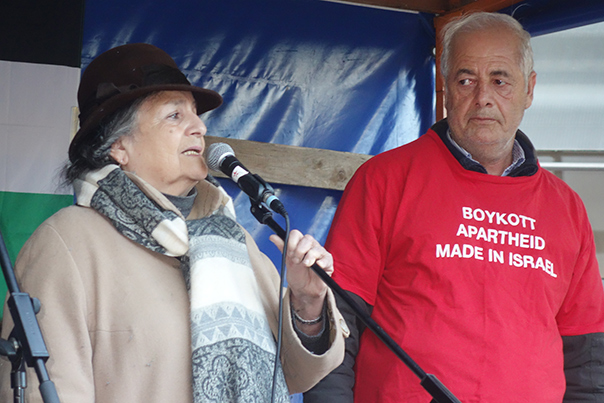 Fanny-Michaela Reisin