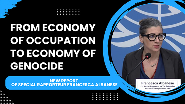 Franseca Albanese Bericht